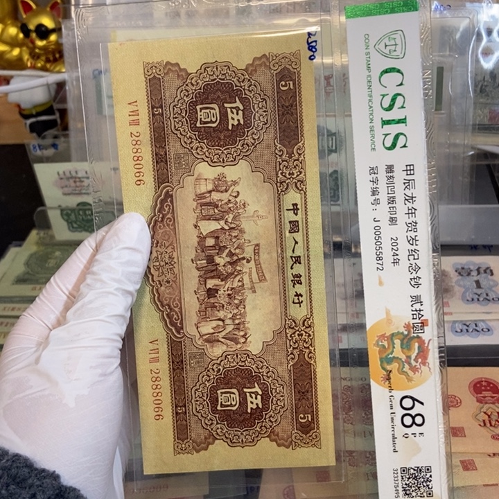 黄五066………………………………