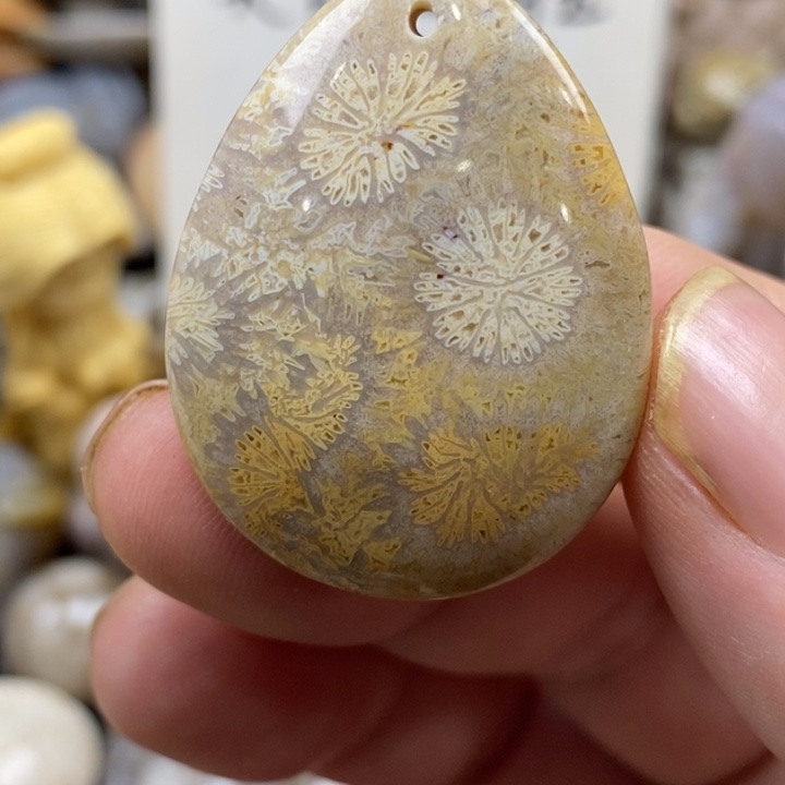 硅化珊瑚（珊瑚玉）未镶嵌颈饰