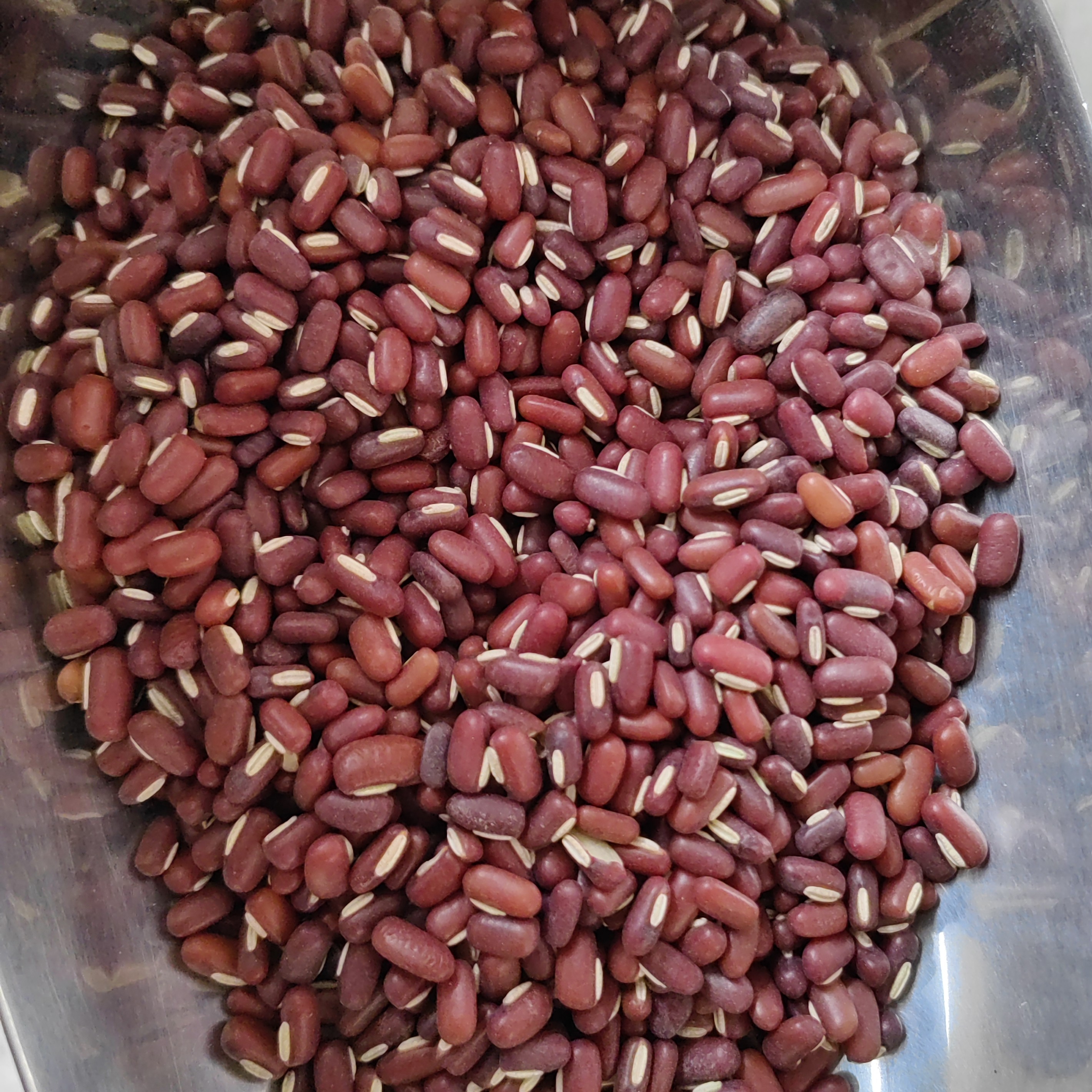 赤小豆新货家用商用煲粥必备