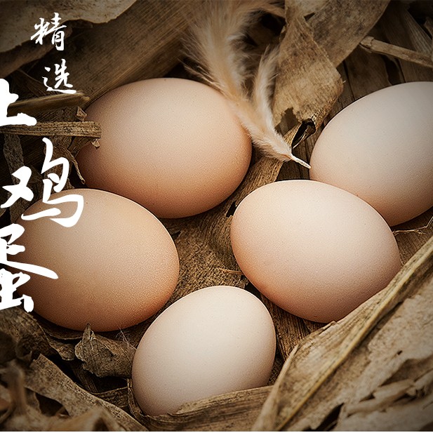 【京东包邮】山林间散养五谷营养新鲜鸡蛋炒菜做汤蒸煮美味