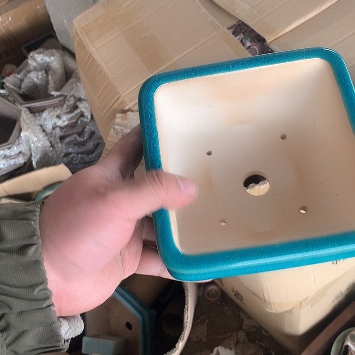 紫砂我要不明天就要开始