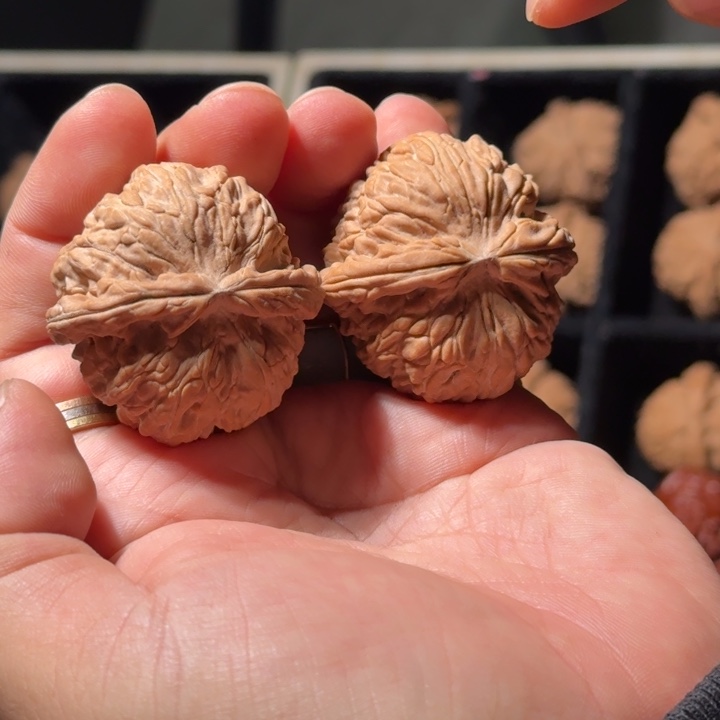 把件文玩核桃557号全品白狮子43mm