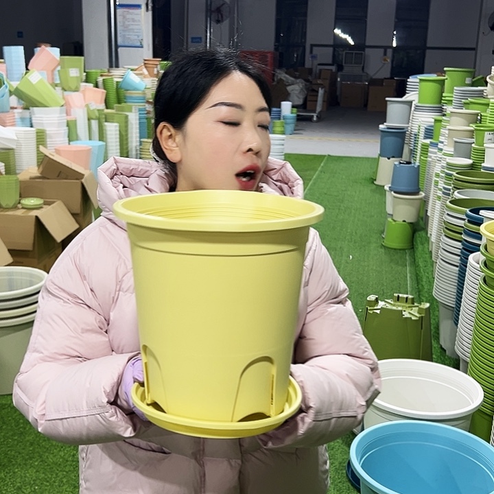 正品圆控口24高24黄色8只带托