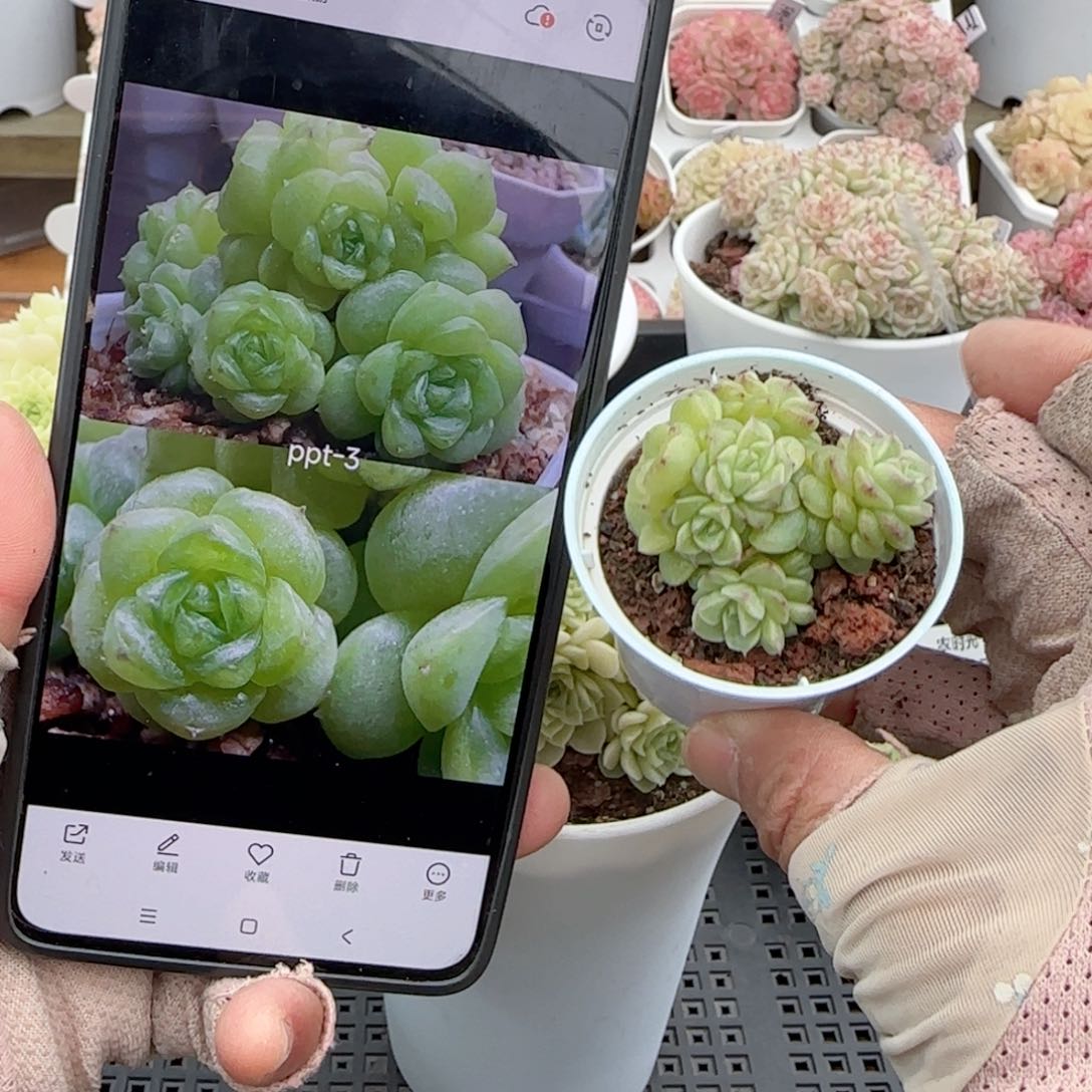 何*包【闪购商品】0126-82（ppt-3）