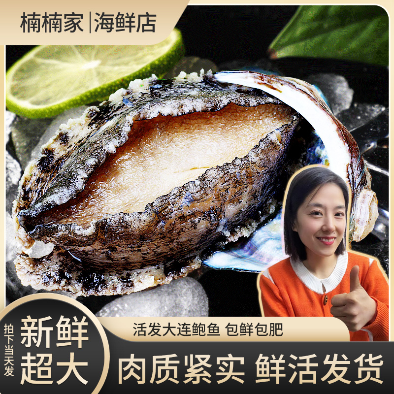 【鲍鱼】大连当地鲍鱼（保鲜不保活）新鲜鲜活G