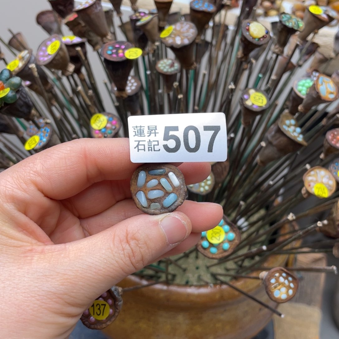 核桃木/黑胡桃（胡桃木）安****子507