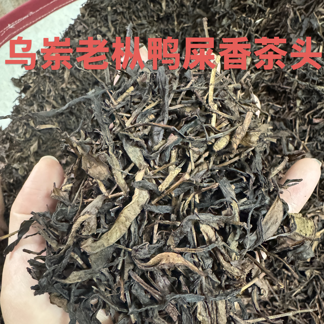 乌岽茶头 老枞古树茶头 凤凰单丛茶