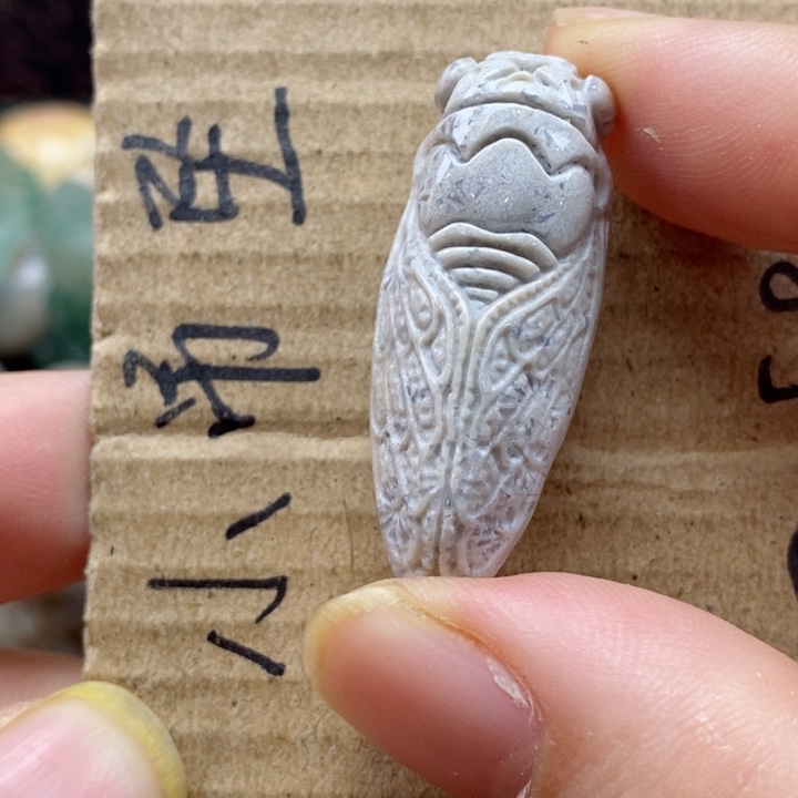 硅化珊瑚（珊瑚玉）颈饰未镶嵌