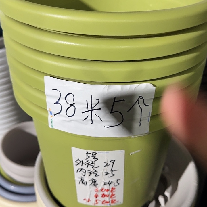 四季5号果绿无托6个特价微瑕