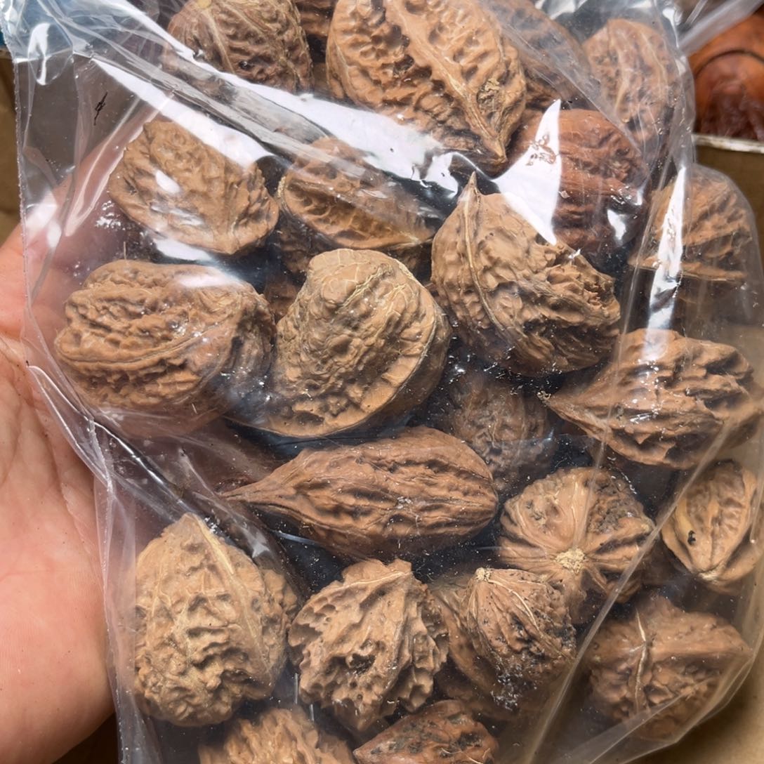 手串文玩核桃大杂烩104