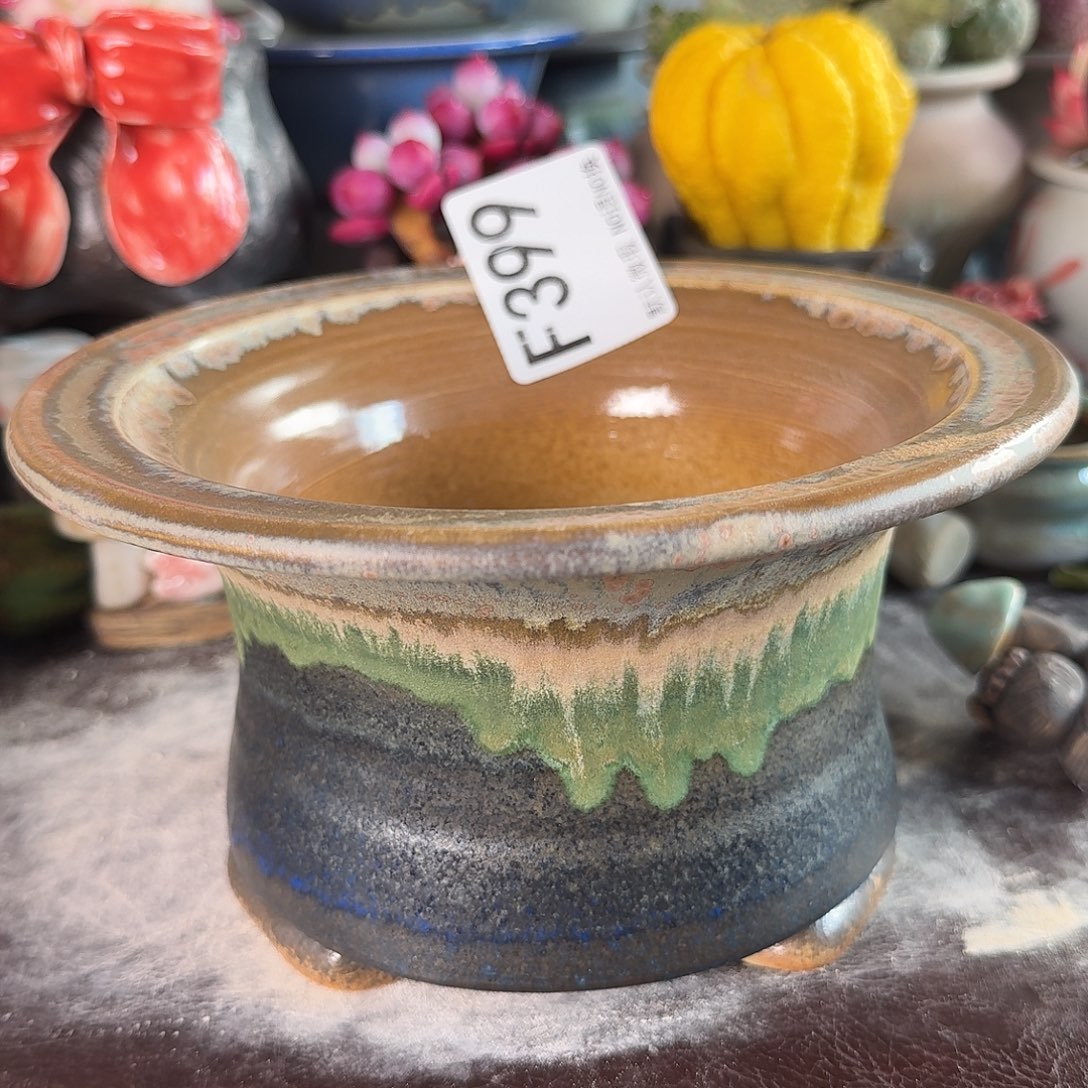 重庆小燕子欢迎大家399