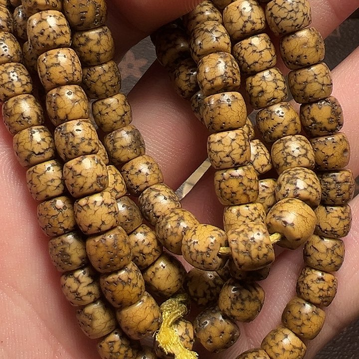 我们都是在这里看到的啦我们