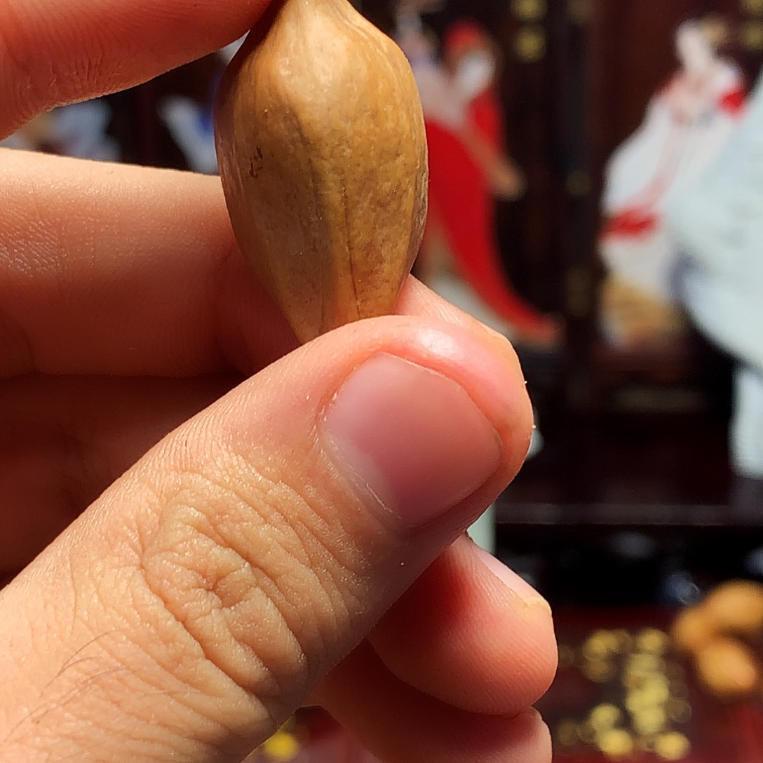 橄榄核手串/手链bbbbbhhhjjjjjjjj