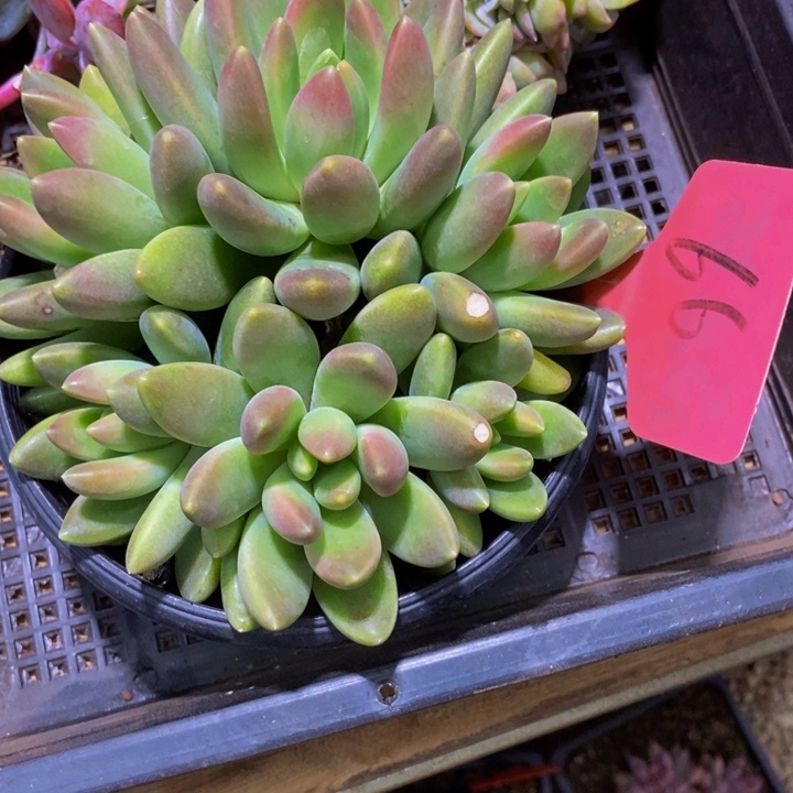 在家干的好无聊的人真的