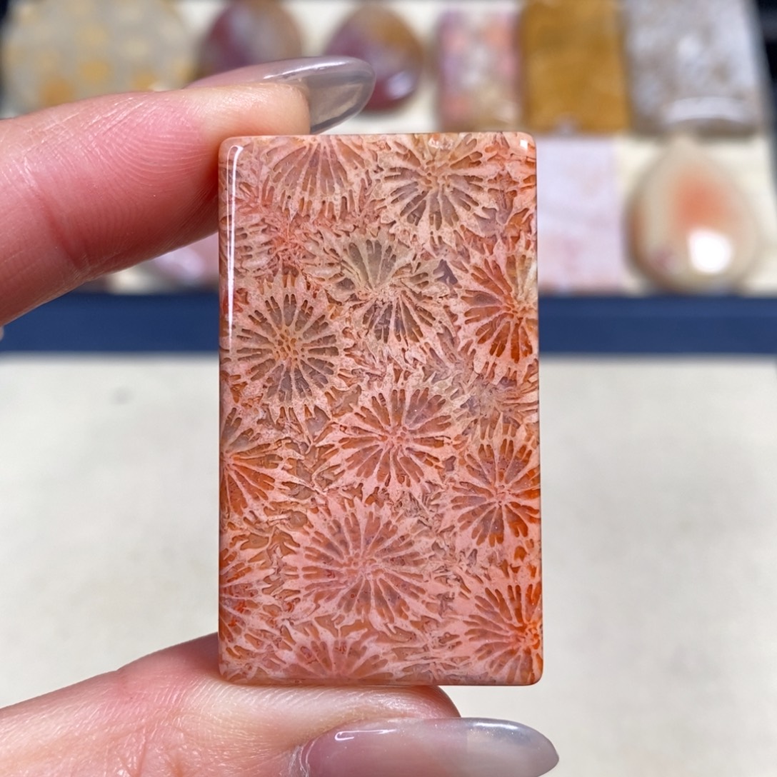 硅化玉未镶嵌吊坠