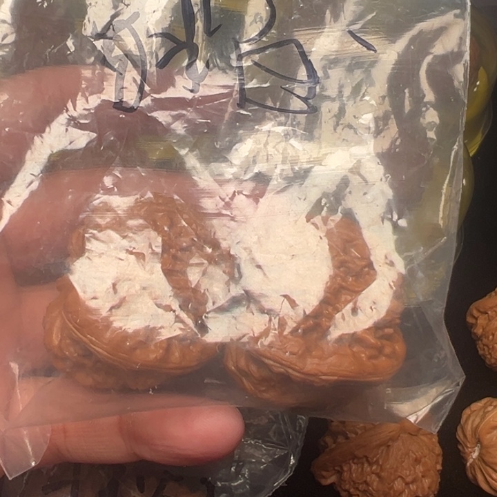 核桃杨***.白狮子，44已打底