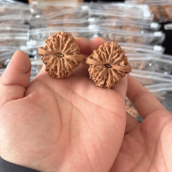 文玩核桃吊坠天***8南将