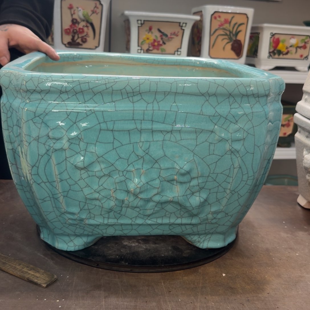 红陶阳*?2222222222