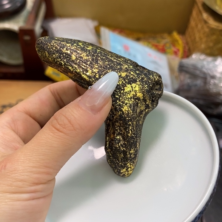 瓷片哦哦哦哦哦哦哦哦哦哦