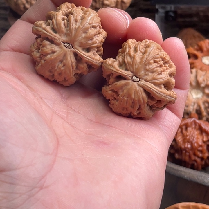 黑***侠把件文玩核桃粗筋