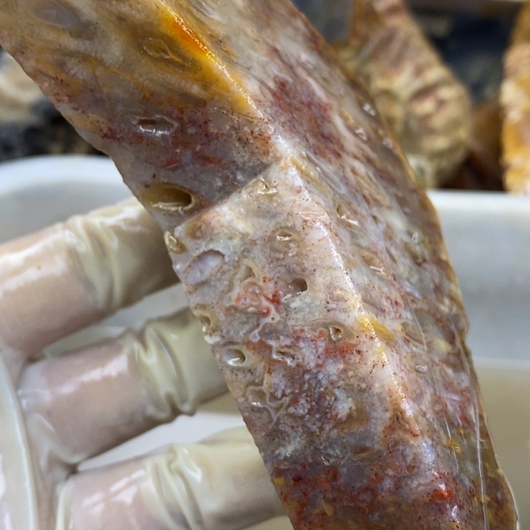 【闪购商品】硅化玉珊瑚玉未镶嵌