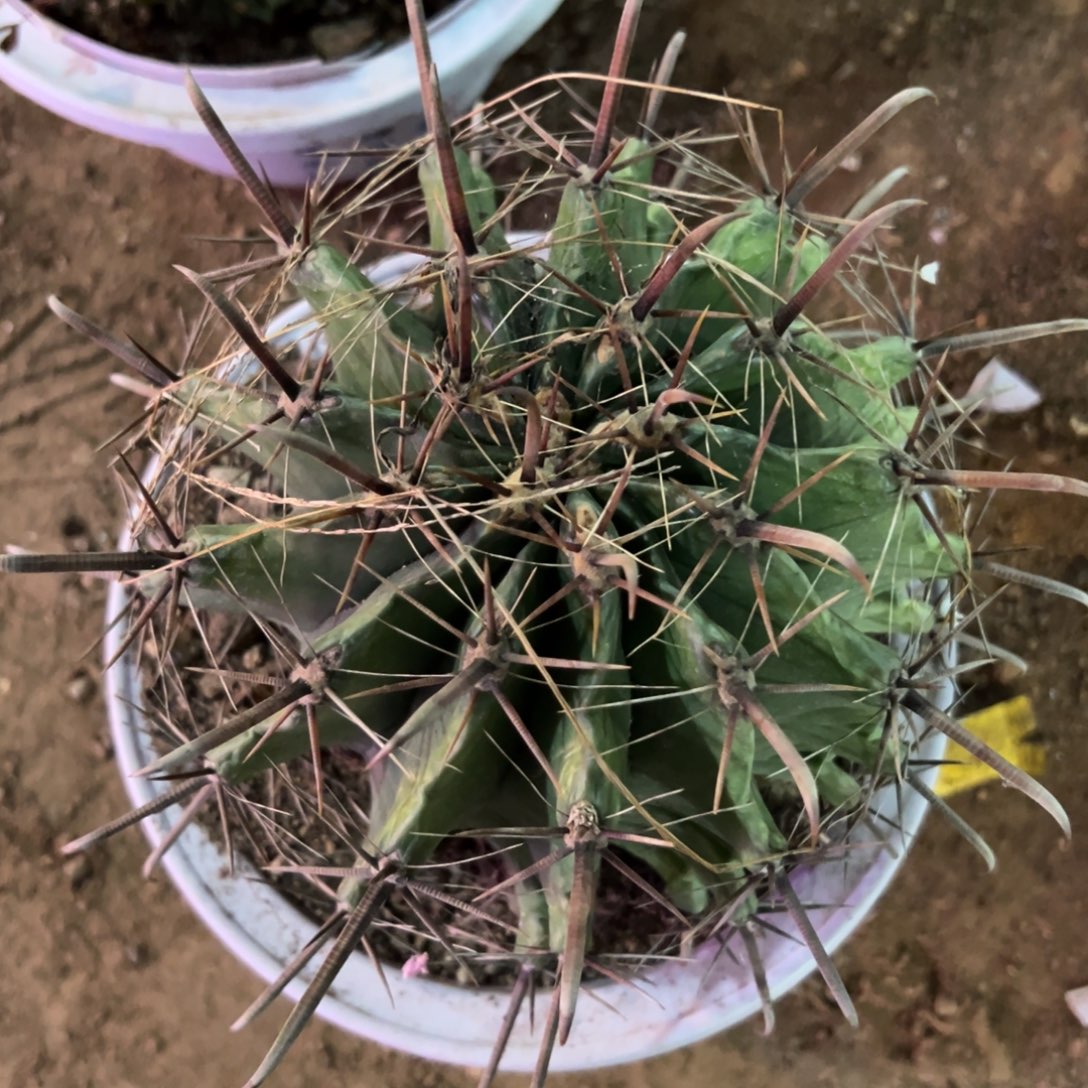 王****眦鸠玉哈哈哈哈哈哈哈哈哈