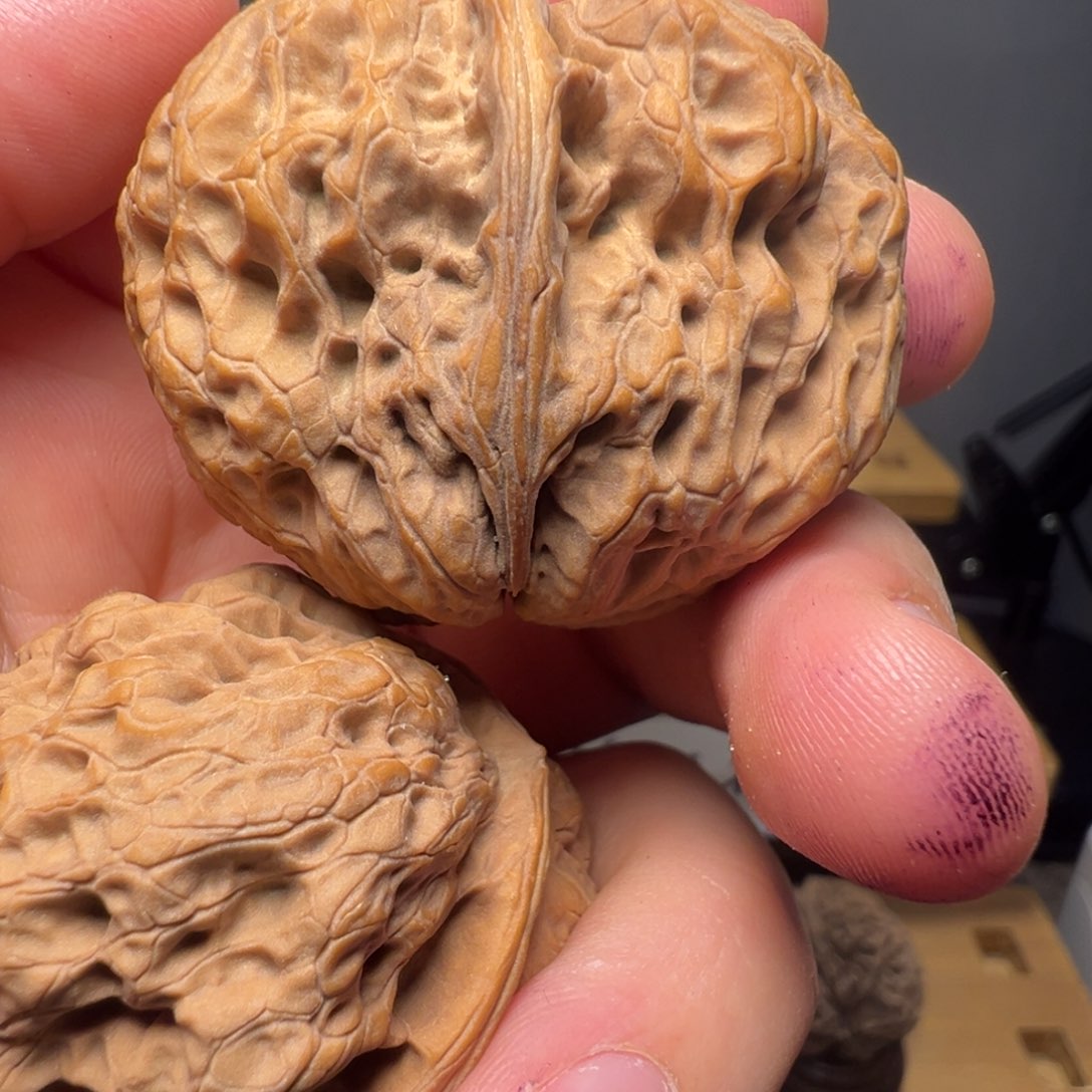 吊坠文玩核桃悬崖峭壁43mm