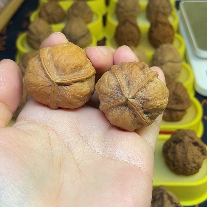 老***茶把件文玩核桃1314果冻38