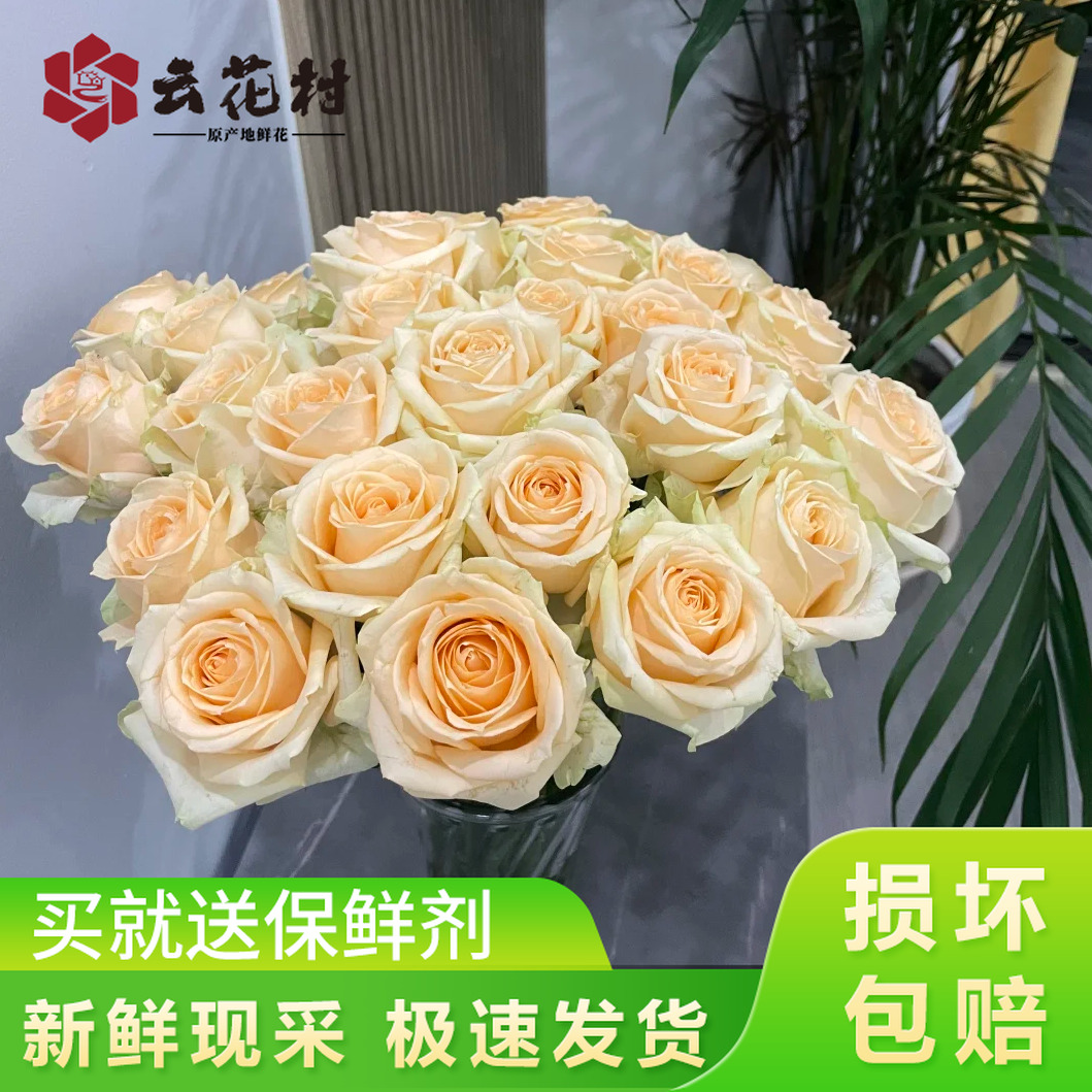 香槟玫瑰10支【全店任意满2件发顺丰京东】云南新鲜鲜花基地直发