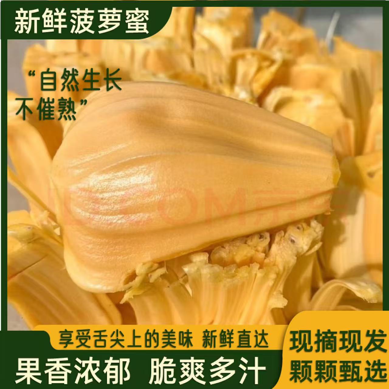 越南进口菠萝蜜树熟发货干苞脆甜一整个【黄色果肉】顺丰包邮