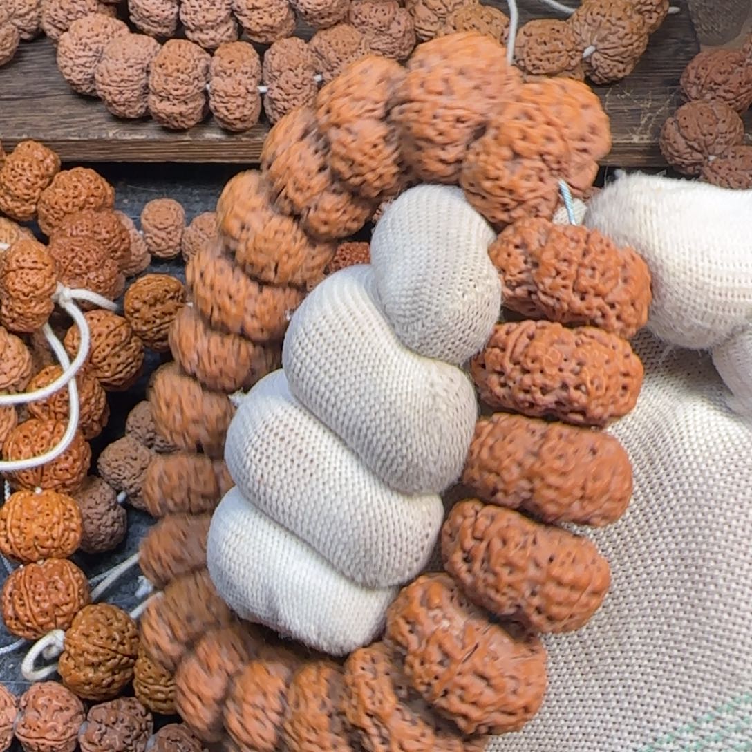 菩提金刚菩提25夹板蜂王