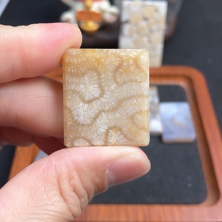 硅化珊瑚（珊瑚玉）吊坠(不含链)未镶嵌