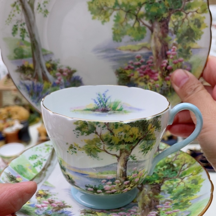 盘维多利亚欧洲中古