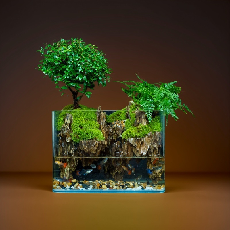 思衡—小叶赤楠松皮石盆栽尺寸25*16*18