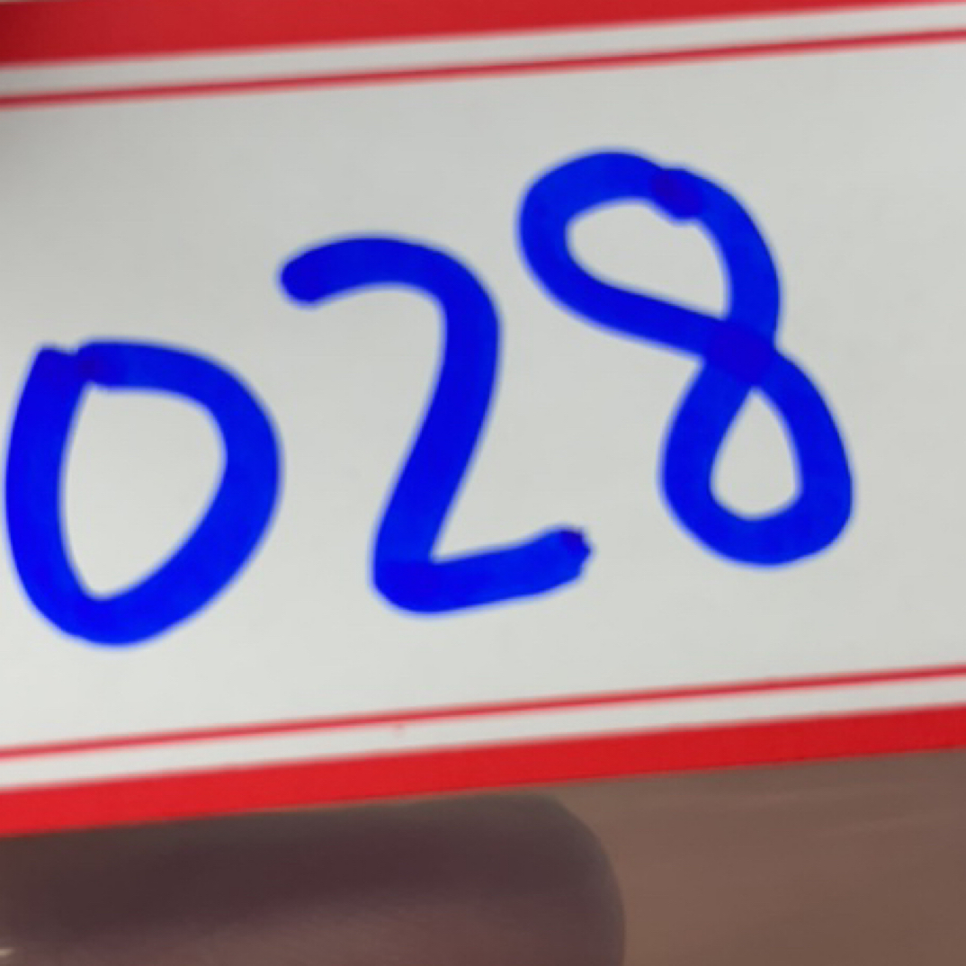 028 复古工艺银元