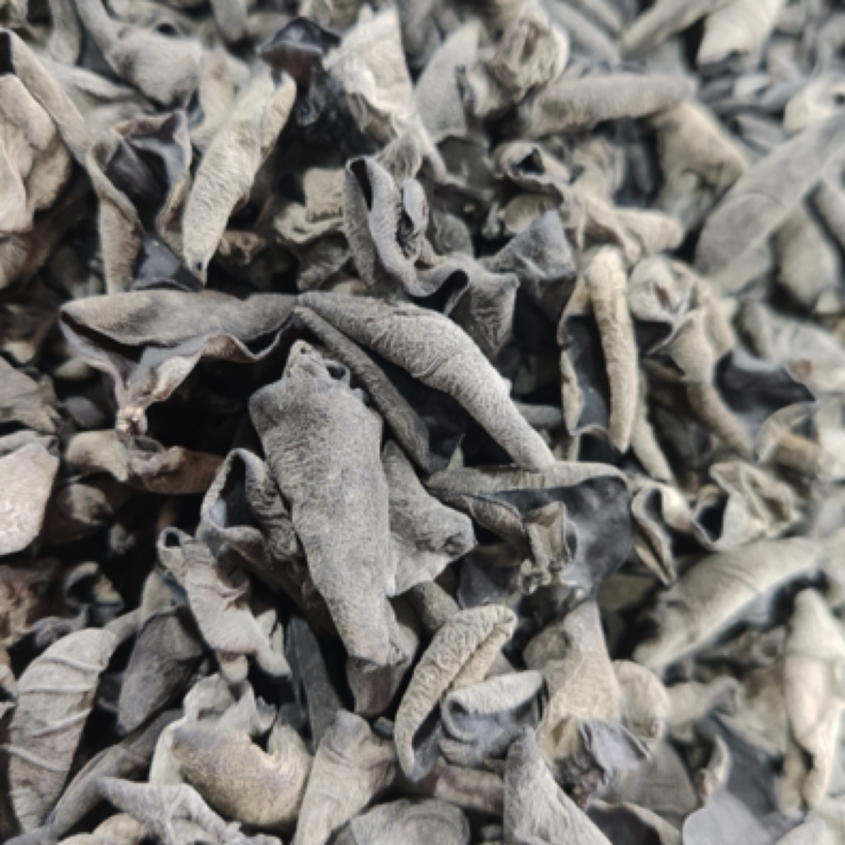 东北黑木耳干货野生小碗耳肉厚 250克绿色蔬菜