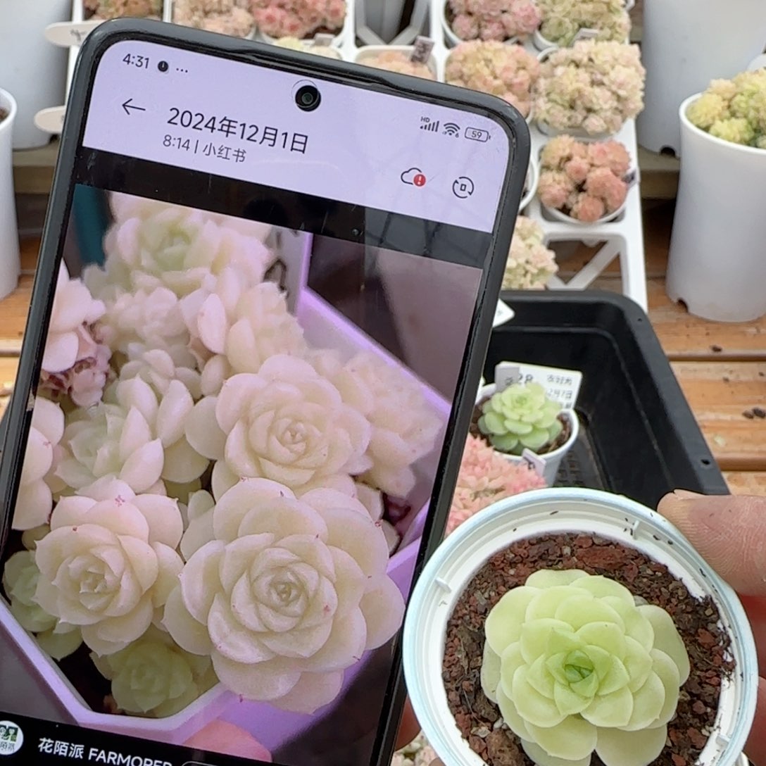 【闪购商品】0207-149（m1-551）