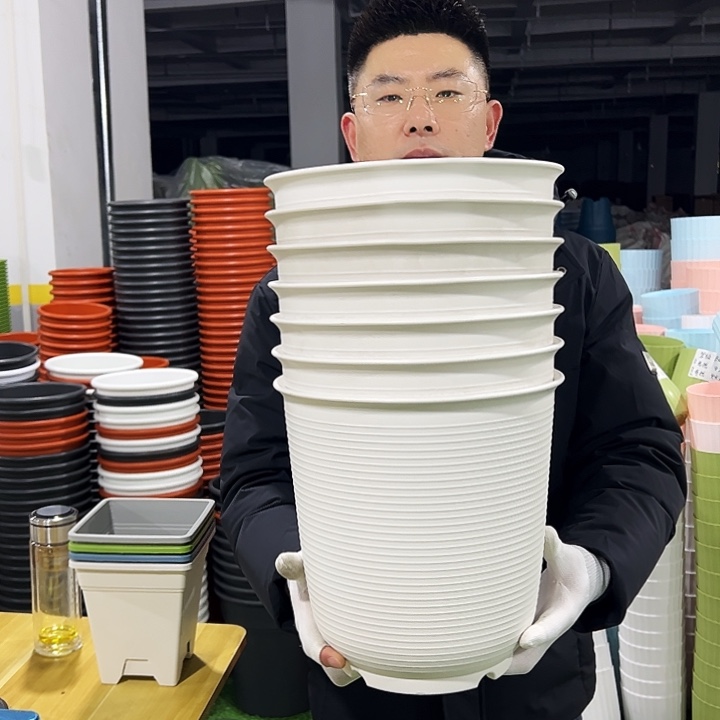 正品高陶口27高27白色4只无托