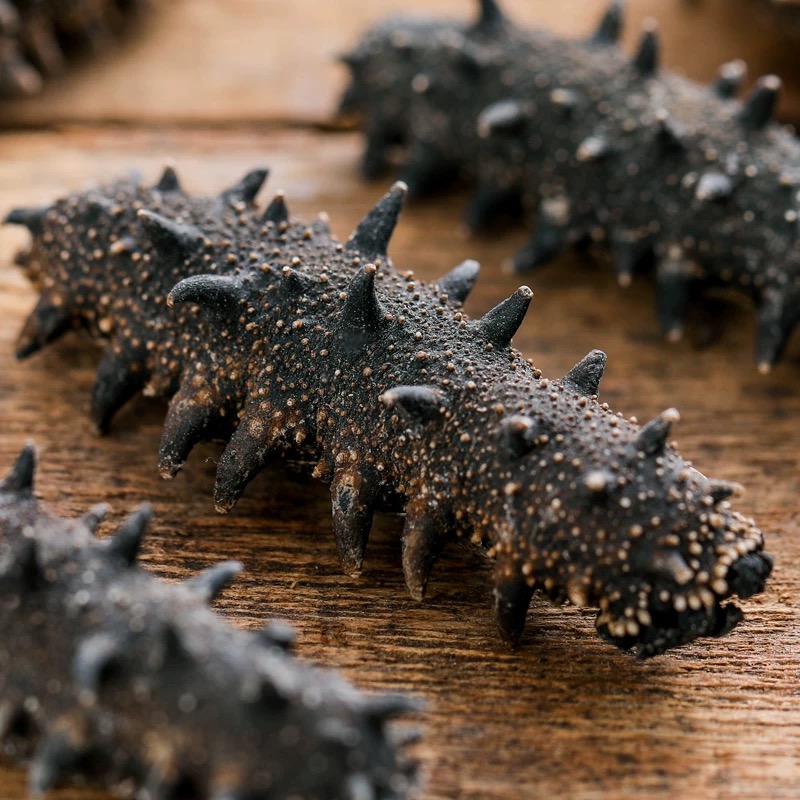 【到手4大盒】国标特级冷水速发高品质刺参纯淡干海参干