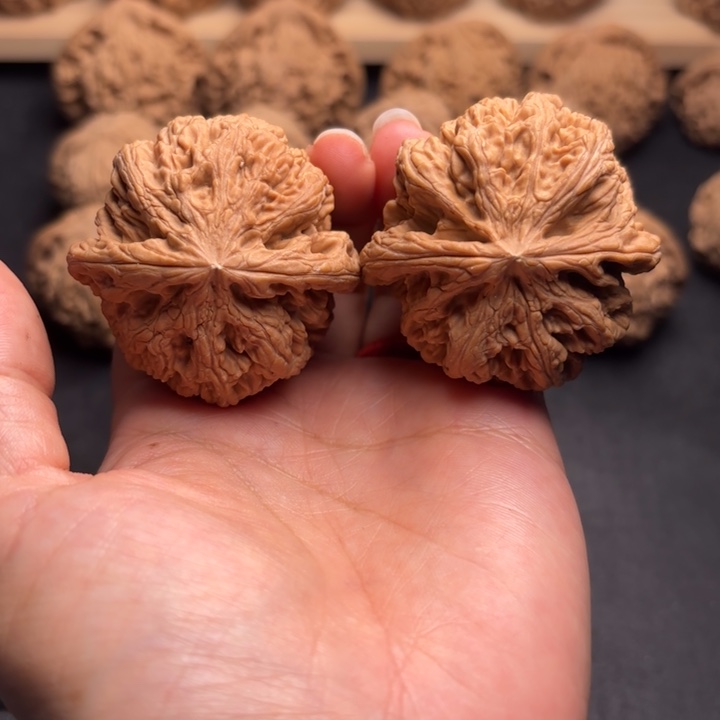 文玩核桃把件45粗筋克重58.5