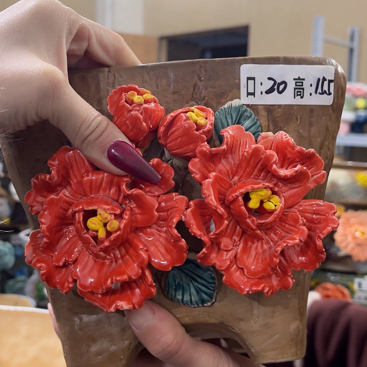 【闪购商品】红陶福利