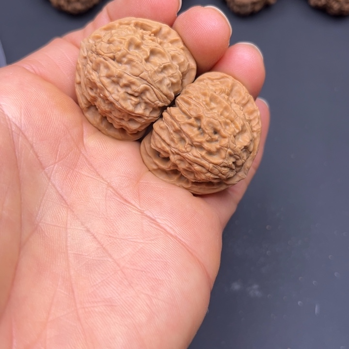 文玩核桃把件白狮子