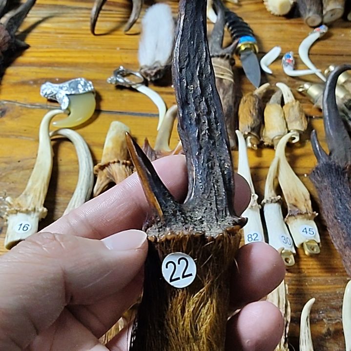 鸿乐堂直播间选货
