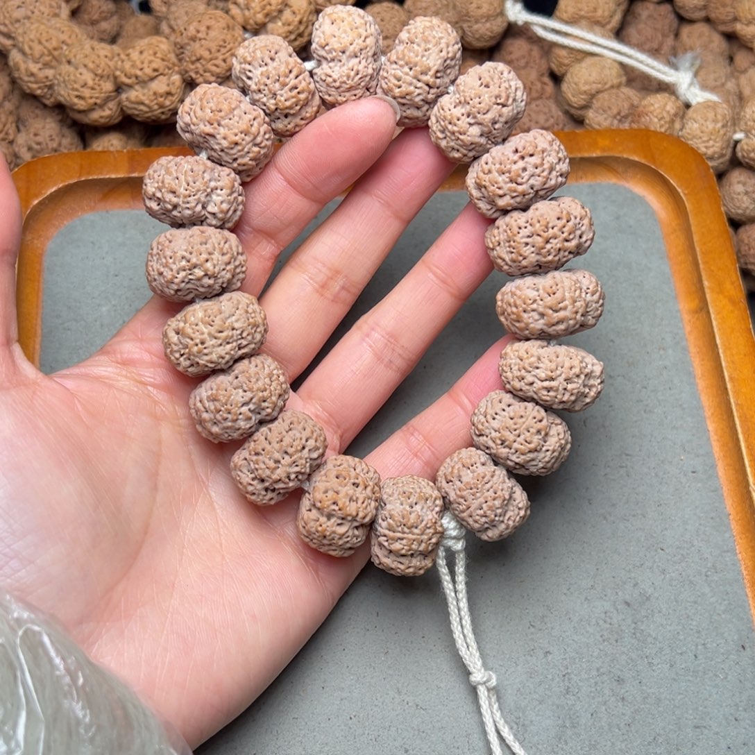 寂***石菩提3号金刚菩提菠萝蜜夹板22