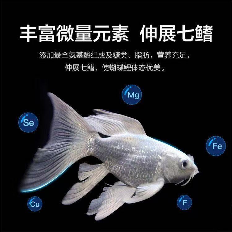 1-100号拍观赏鱼冷水鱼渔场直销包邮包损直播链接