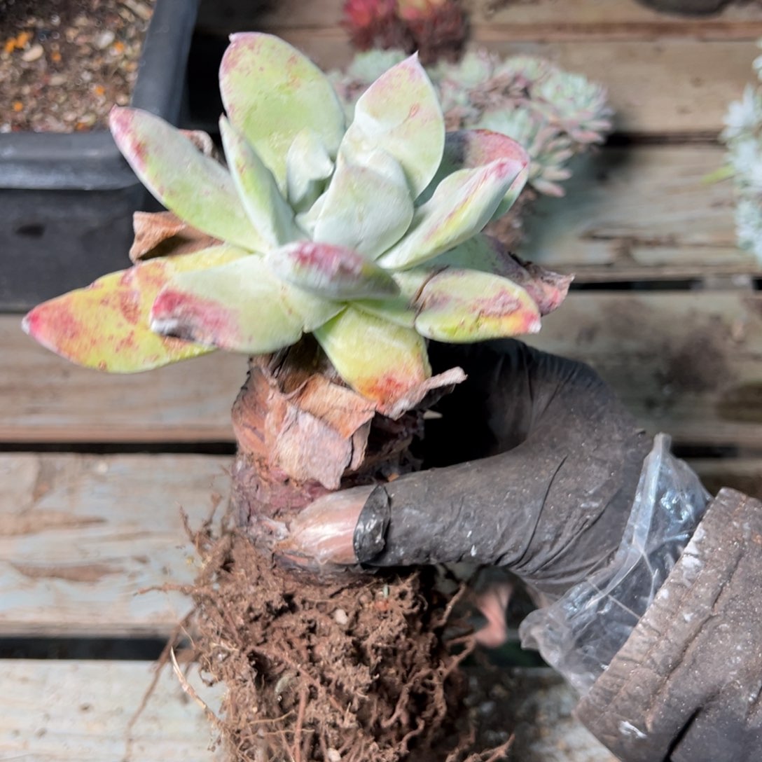 9109哈哈哈哈哈哈哈哈