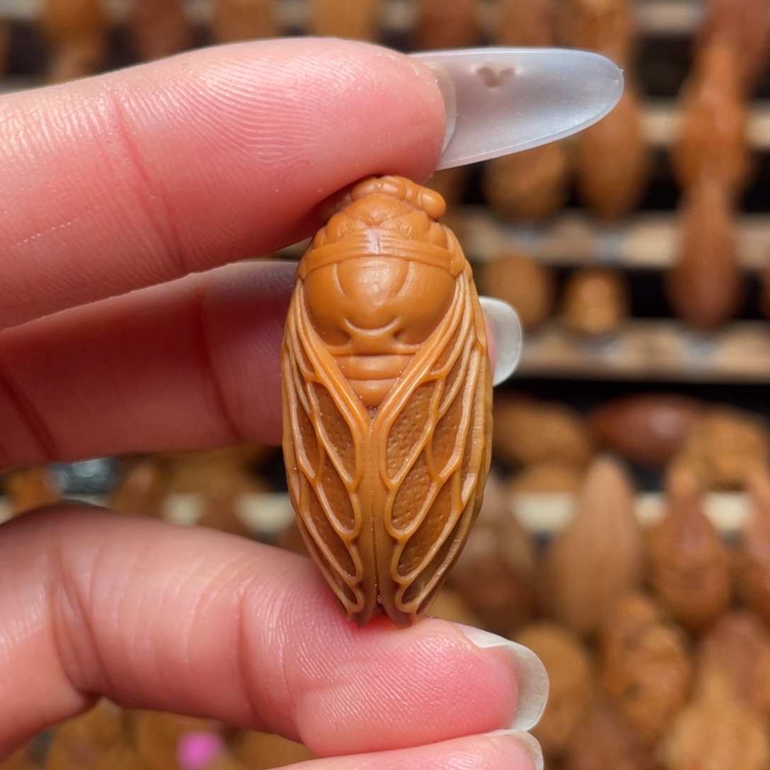 ****志把件橄榄核一鸣惊人