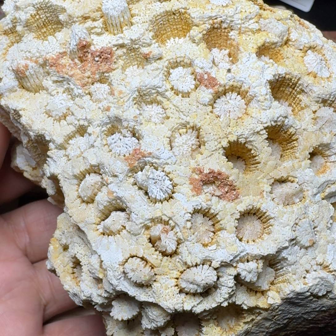 硅化玉纯天然色有机玉石未镶嵌原石摆件