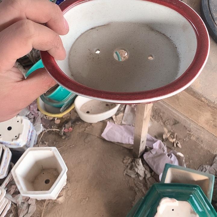 紫砂淘宝优惠券起单曲领