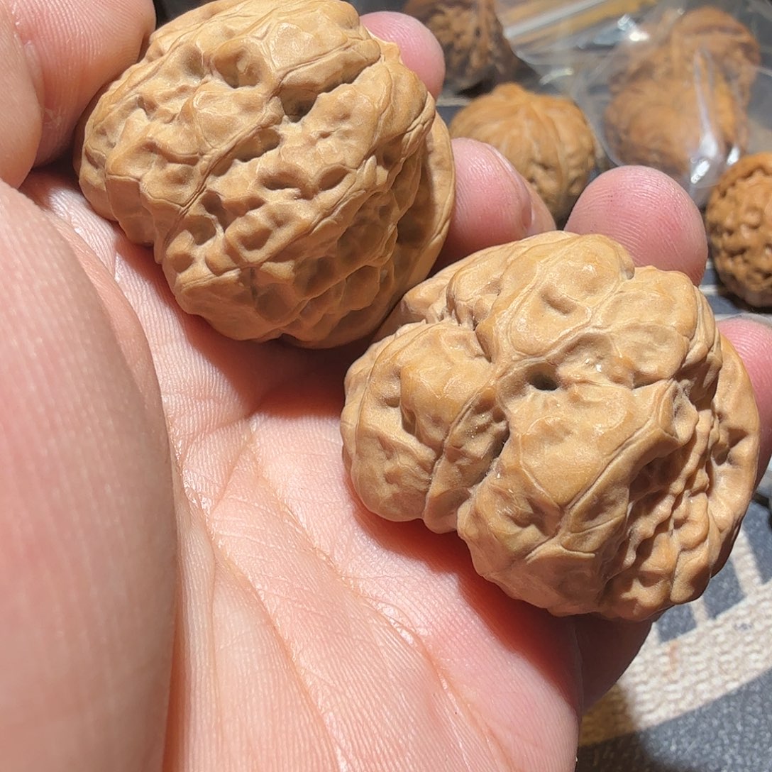 文玩核桃把件金蟾
